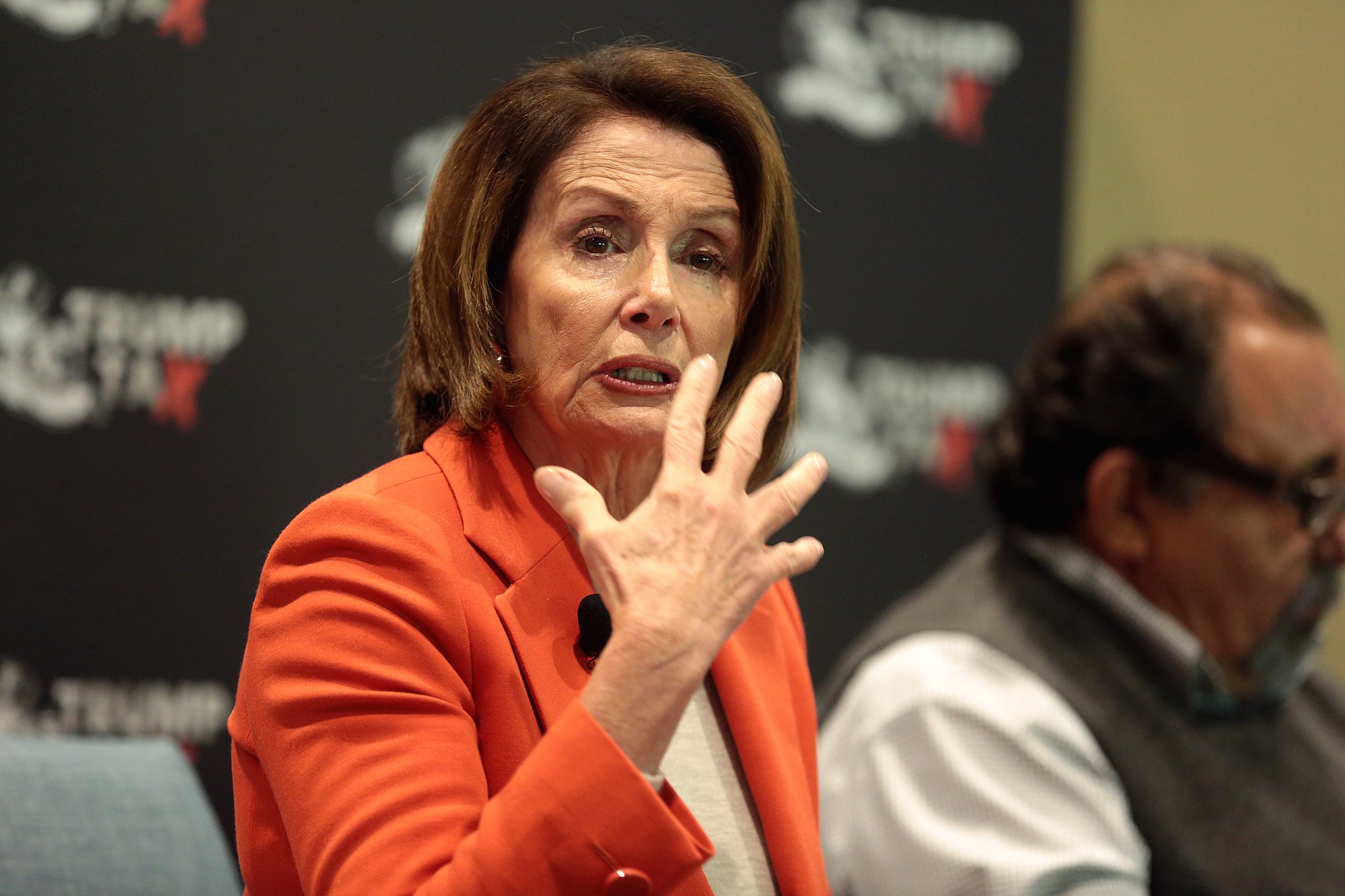 Pelosi Says Trump Should Be Banned From The Presidency, You Agree?
