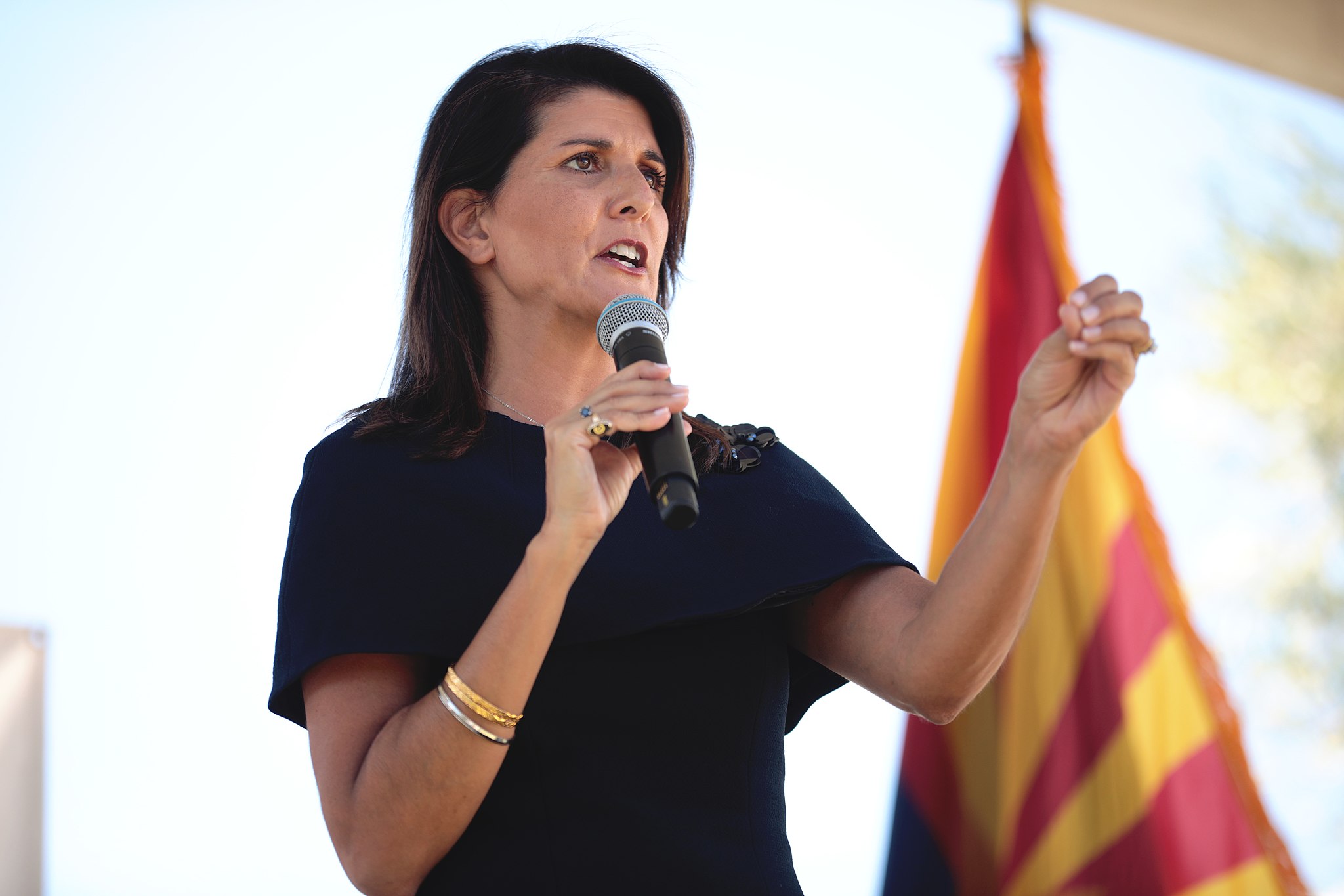 Would You Vote For Nikki Haley In The 2024 Election?