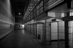 Should Trump Jail Leaders Who Try To Protect Illegals From Deportation? Should Trump Jail Leaders Who Try To Protect Illegals From Deportation?