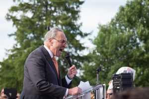 Schumer Vows To Stop Trump, Will He Fail?